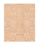 Area Rug 2240