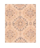 Area Rug 2241