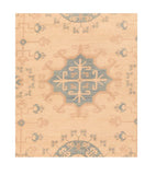 Area Rug 2245