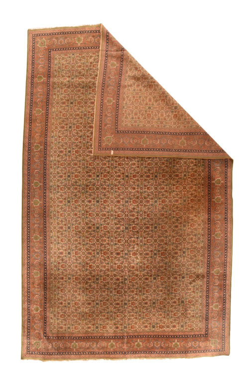 Area Rug 2258