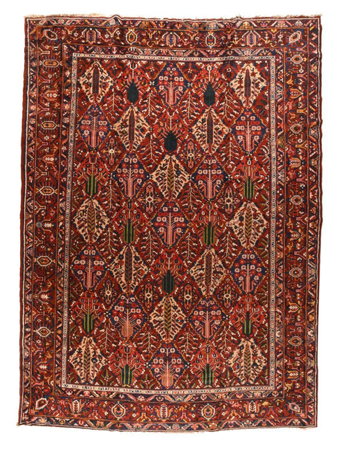 Area Rug 2266