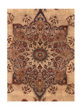 Area Rug 2273