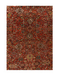 Area Rug 2276