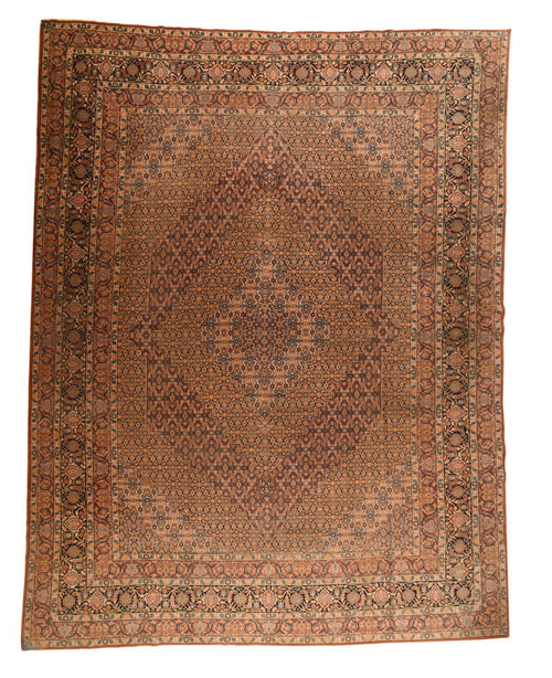 Area Rug 2282