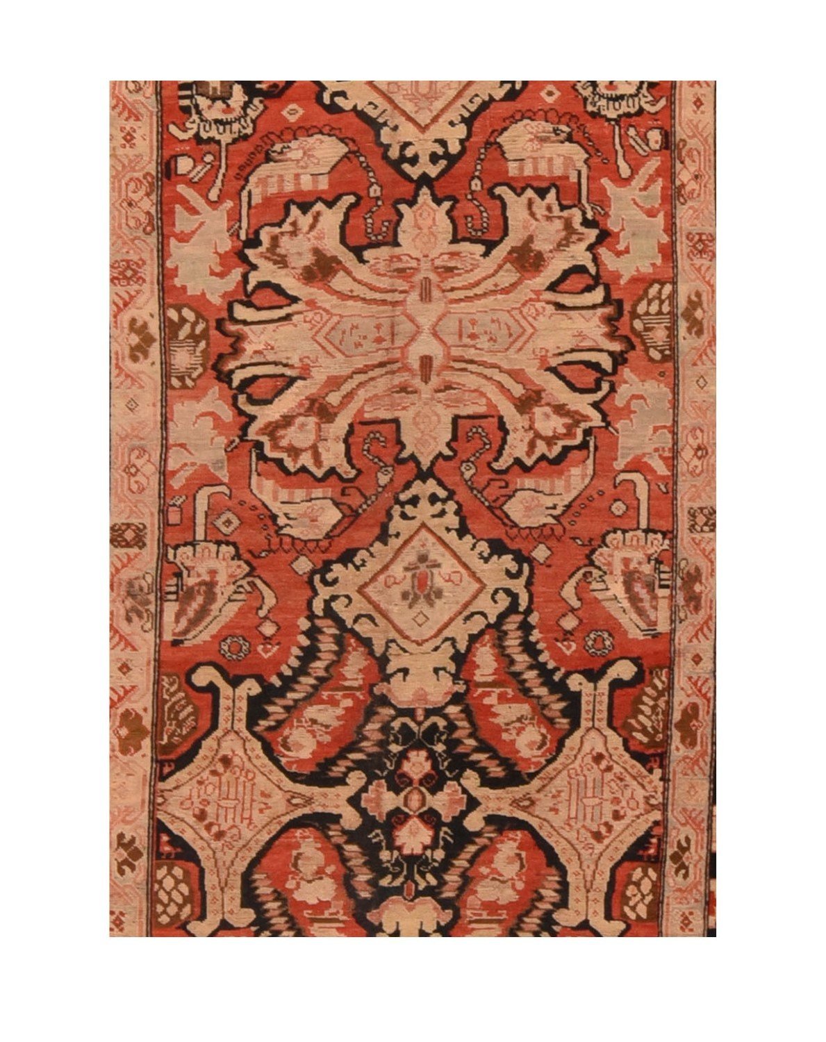 Area Rug 2284