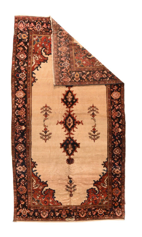 Area Rug 2288