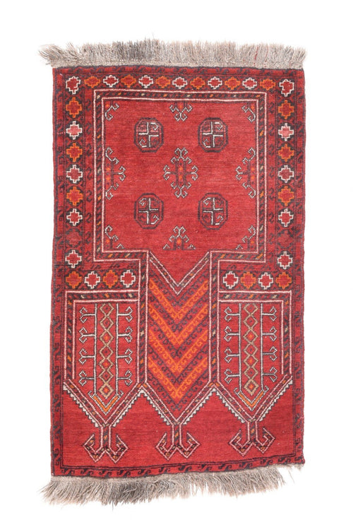 Area Rug 2331