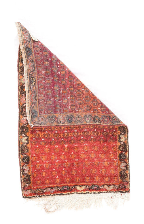 Area Rug 2340