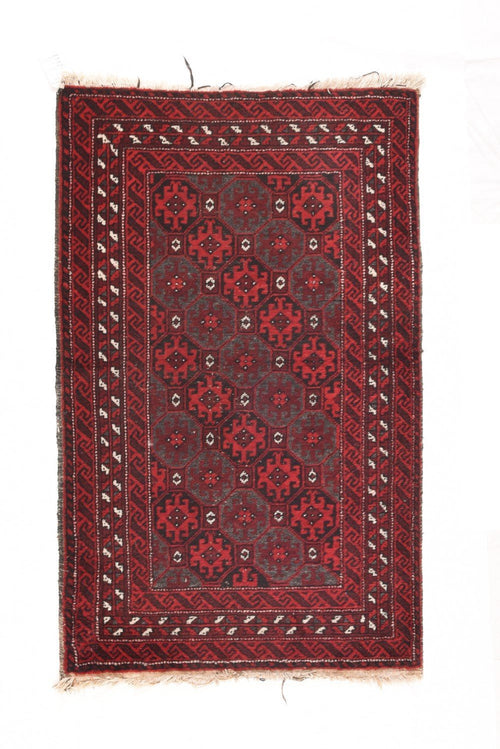 Area Rug 2351