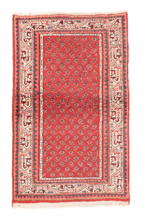 Area Rug 2353