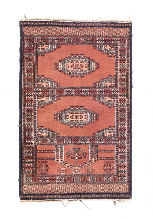 Area Rug 2355