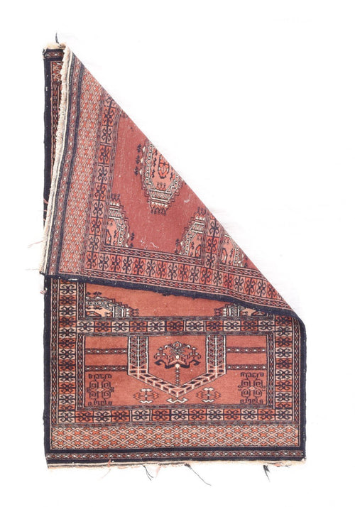 Area Rug 2355