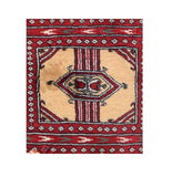 Area Rug 2397