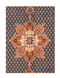 Area Rug 2404