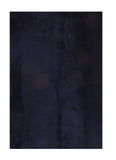 Area Rug 2406