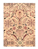 Area Rug 2419