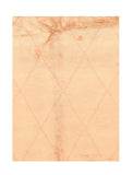 Area Rug 2421