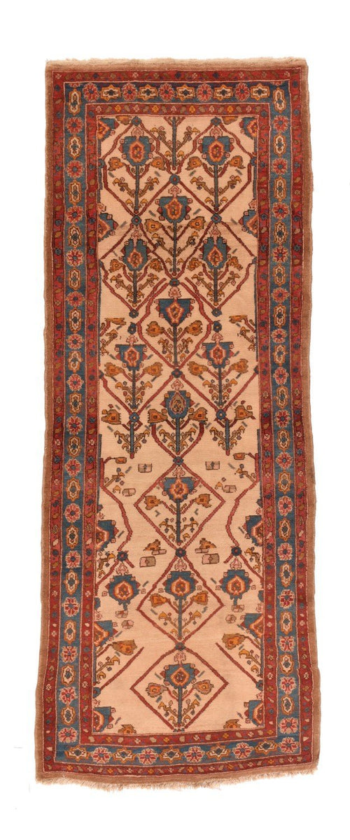 Area Rug 2434