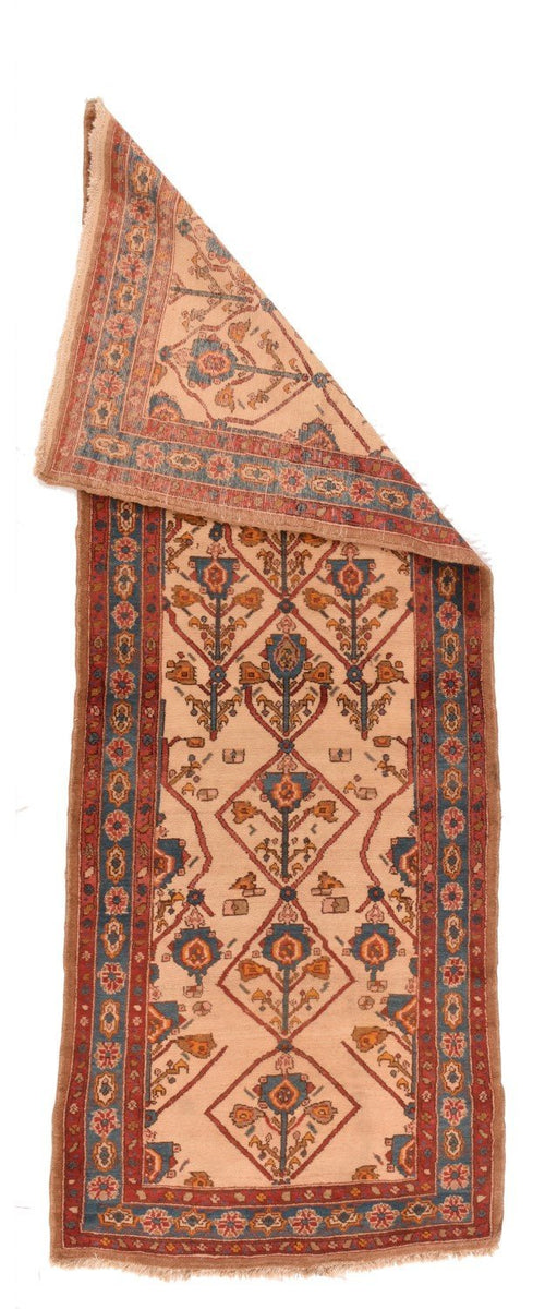 Area Rug 2434