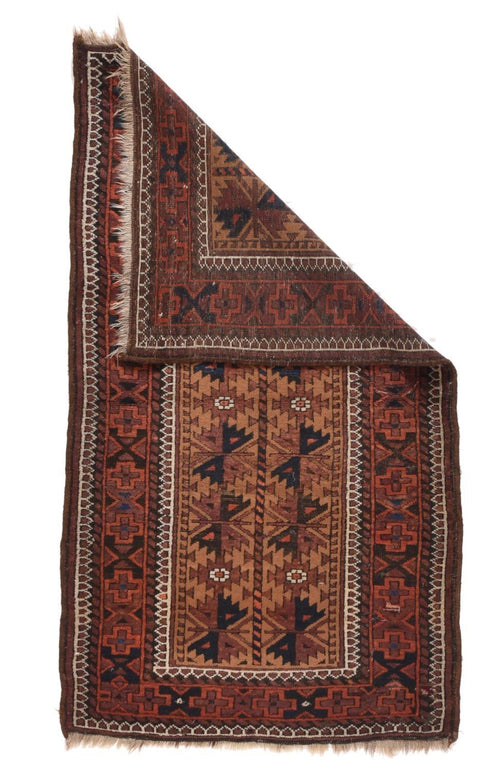 Area Rug 2437