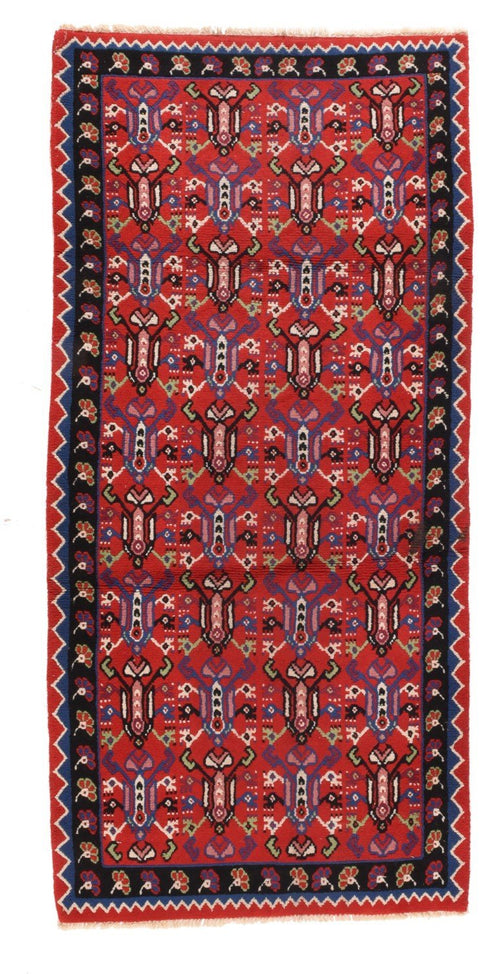 Area Rug 2441