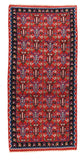 Area Rug 2441