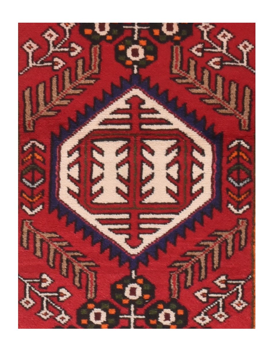 Semi Red Hamedan Persian Area Rug