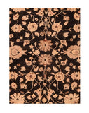 Area Rug 2481