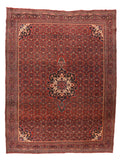 Antique Red Bijar ( Bidjar ) Persian Area Rug