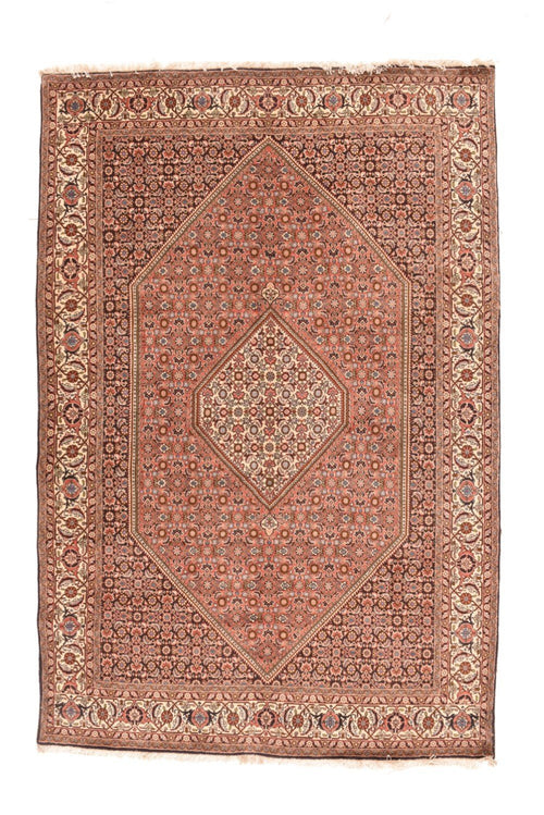 Area Rug 2507