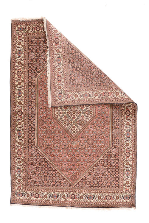 Area Rug 2507