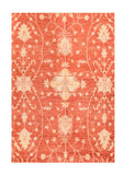 Area Rug 2535