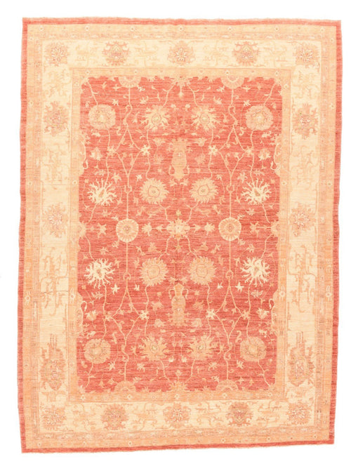 Area Rug 2541