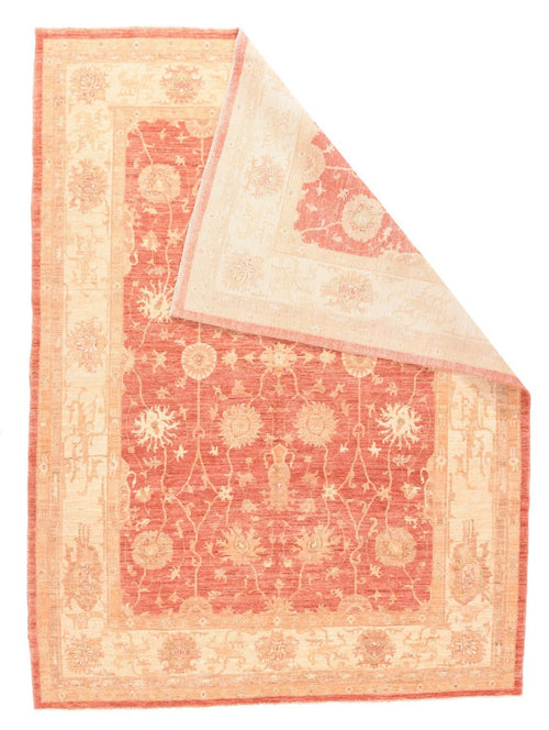 Area Rug 2541