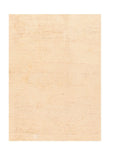 Area Rug 2579