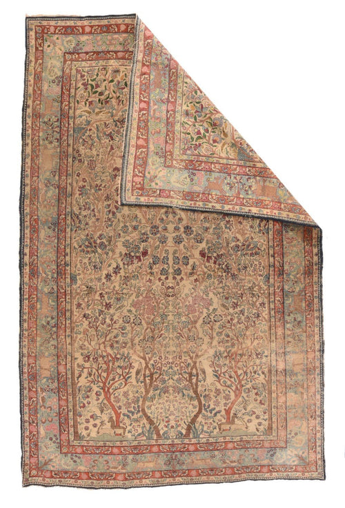 Area Rug 2614