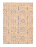 Area Rug 2634