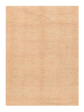 Area Rug 2636