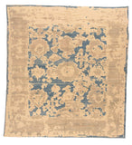 Area Rug 2638