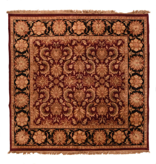 Area Rug 2641