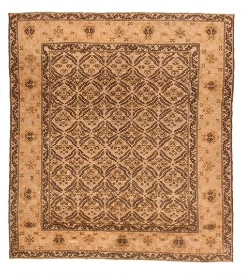 Area Rug 2645