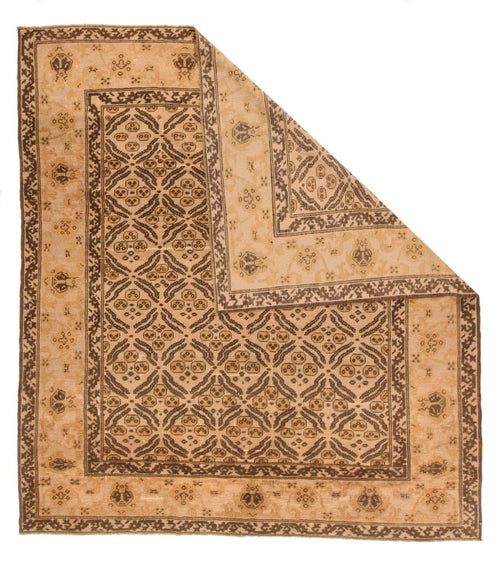 Area Rug 2645