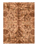 Area Rug 2646