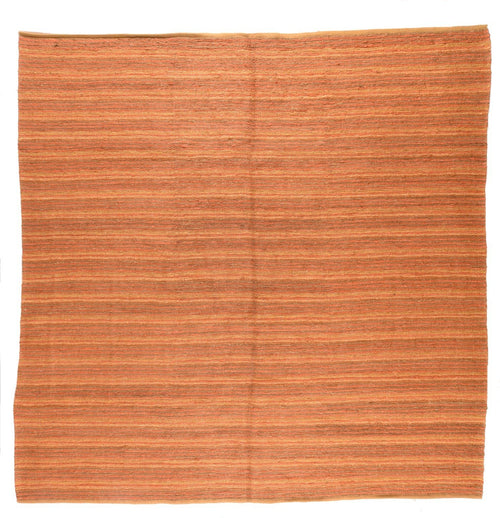 Area Rug 2647