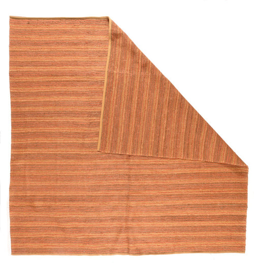 Area Rug 2647