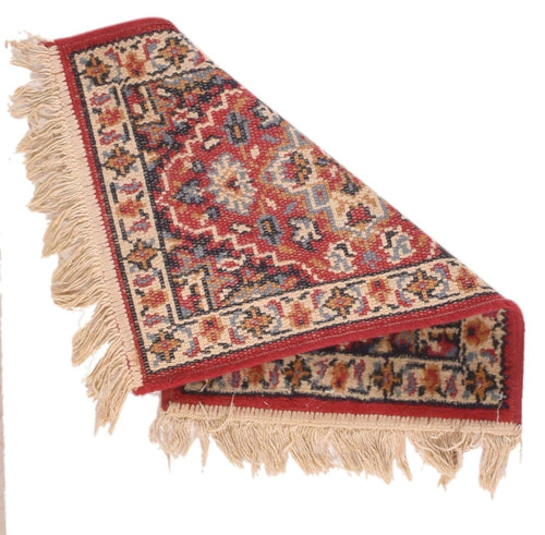 Area Rug 2720