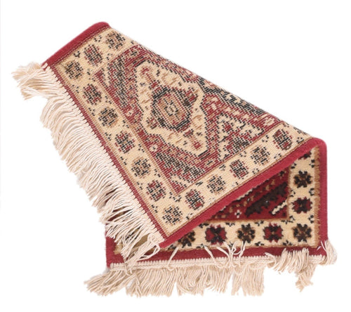 Area Rug 2721