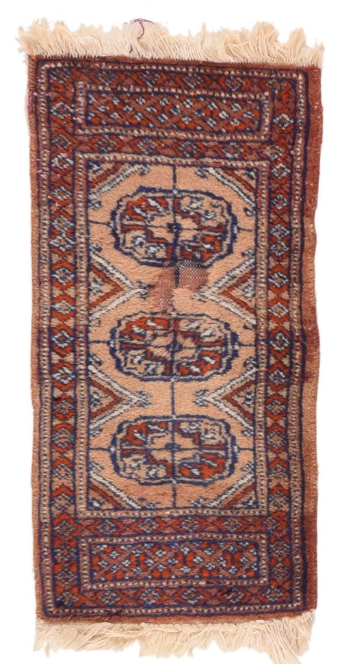 Area Rug 2724