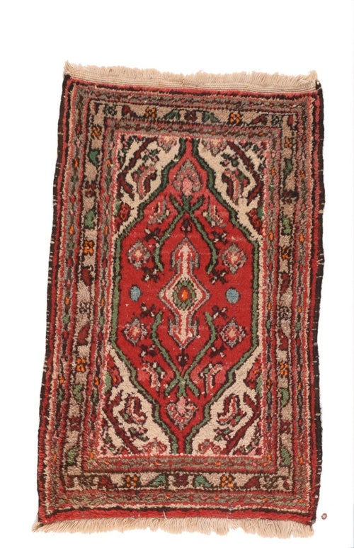 Area Rug 2726