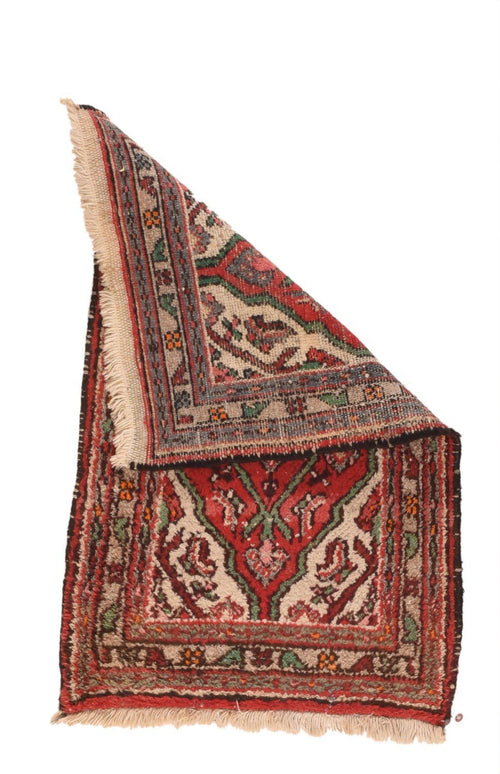 Area Rug 2726